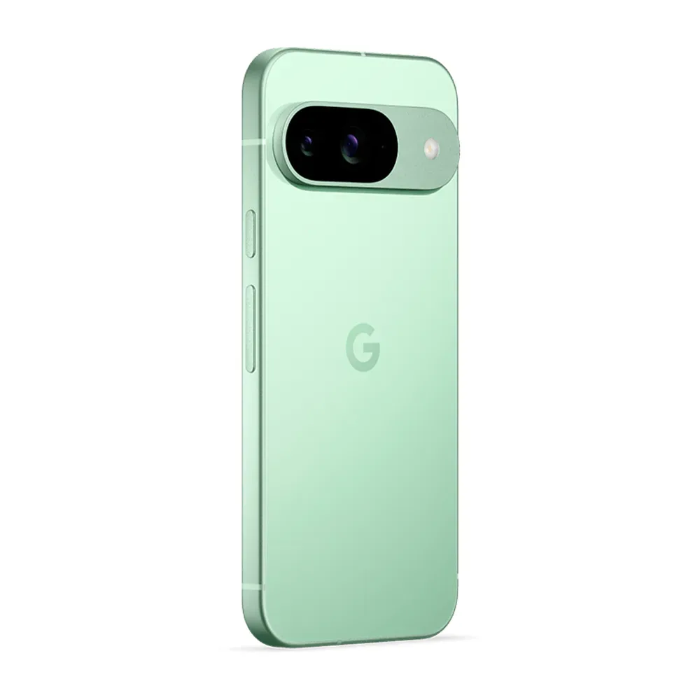 Смартфон Google Pixel 9 12/256GB, Wintergreen (Зимнезелёный) (Японская версия)