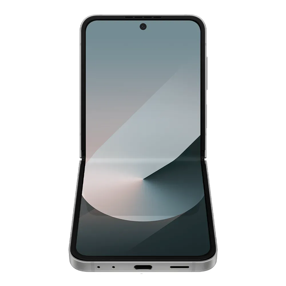 Смартфон Samsung Galaxy Z Flip6 12/256GB, Silver Shadow (Серебристый) (SM-F741B)