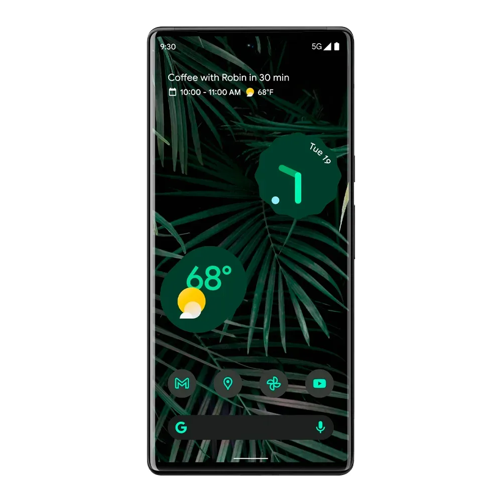 Смартфон Google Pixel 6 Pro 12/128GB, Stormy Black (Неистовый черный) (Японская версия)