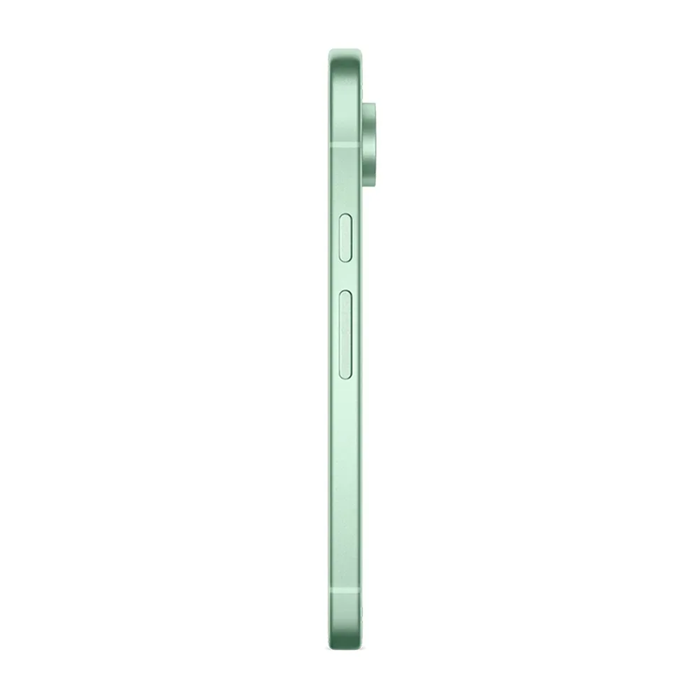 Смартфон Google Pixel 9 12/128GB, Wintergreen (Зимнезелёный) (Японская версия)