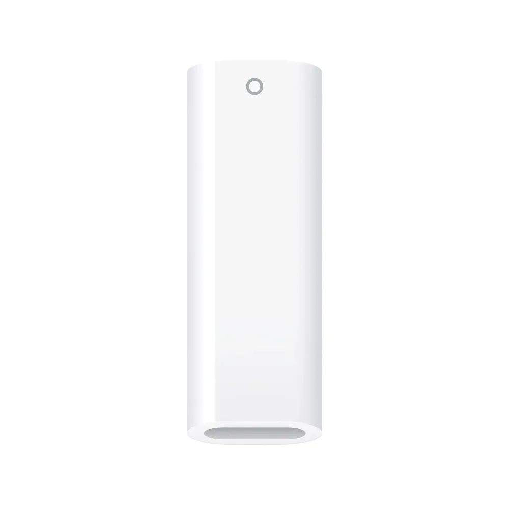 Стилус Apple Pencil (1-го поколения) с адаптером USB-C (MQLY3)